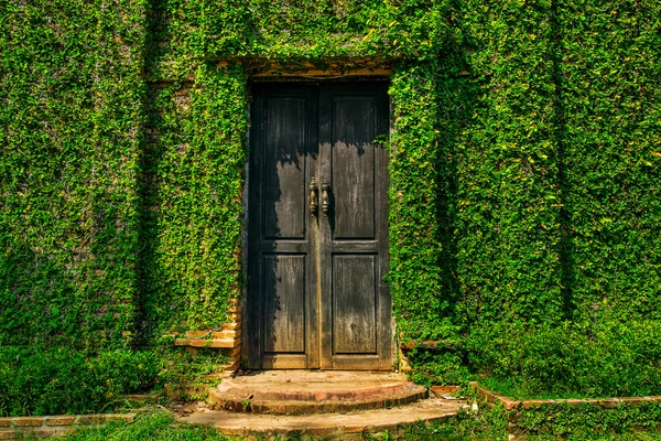 Vieja puerta de madera en la pared — Foto de Stock