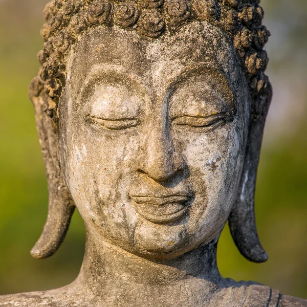Каменная голова Будды — стоковое фото
