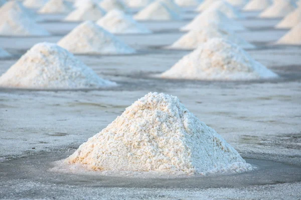 Piles de sel — Photo