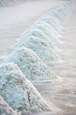 Piles of salt on the surface of the salt lake, Thailand clipart