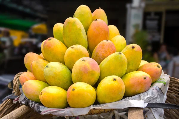 Корзина, полная спелых манго — стоковое фото