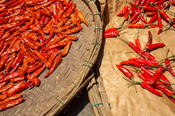 Pimienta de chile rojo — Foto de Stock