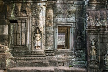 apsara, taş oymalar angkor duvar ta prohm Tapınağı