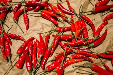 Güneşte kurutma kırmızı biber biber