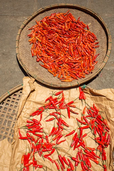 Peperoncino rosso essiccazione al sole al mercato — Foto Stock