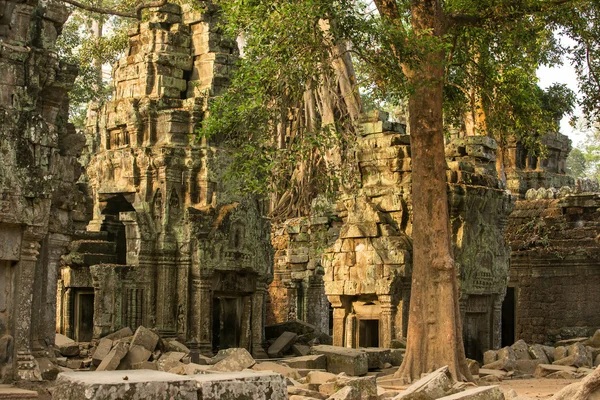 Antigo templo Ta Prohm no complexo Angkor Wat — Fotografia de Stock