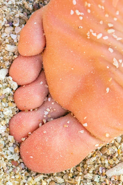 Женская нога и пальцы на пляже . — стоковое фото