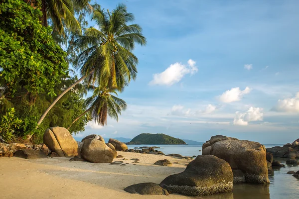 Tropisk strand — Stockfoto