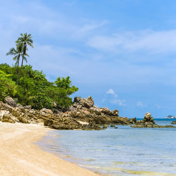 Tropical beach — Stock Photo, Image