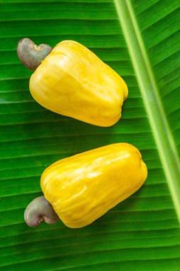 kaşu fındık meyve