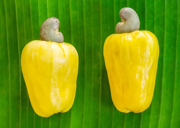 Frutos de anacardo — Foto de Stock