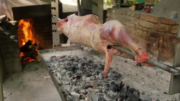 Meludah memanggang seluruh domba di atas bara panas — Stok Video