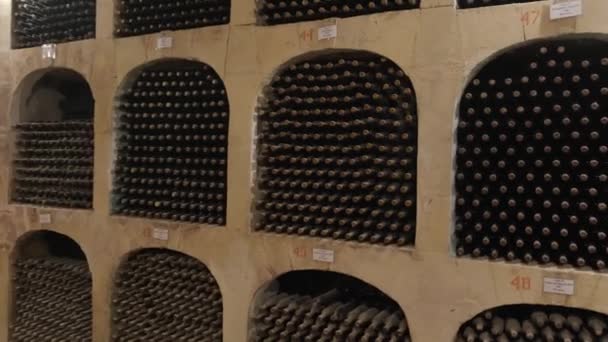 Wine bottles stacked up in underground wine cellar — Stock Video