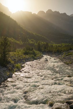 Doğal manzara arka planında hızlı nehir