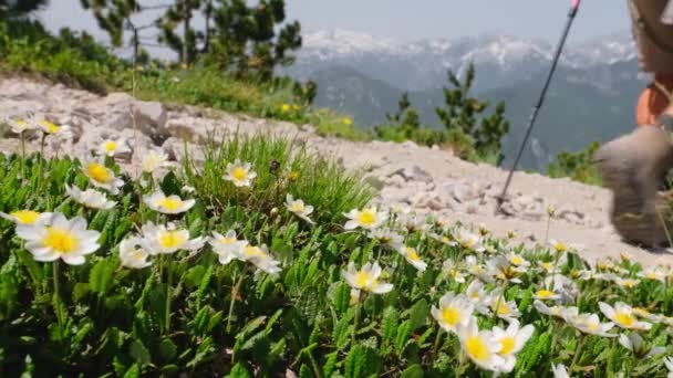 アルバニアのテス村とバルボナ村の間の美しいハイキング — ストック動画