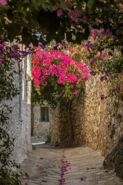 Türkiye 'nin Eski Datca kentindeki bougainvillea çiçekleriyle birlikte resimler dar geçidi