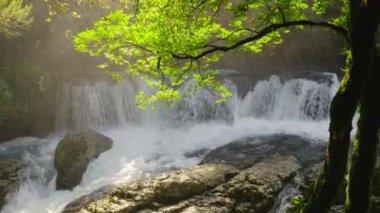 Beautiful nature scene with cascade waterfall and green tree in backlight