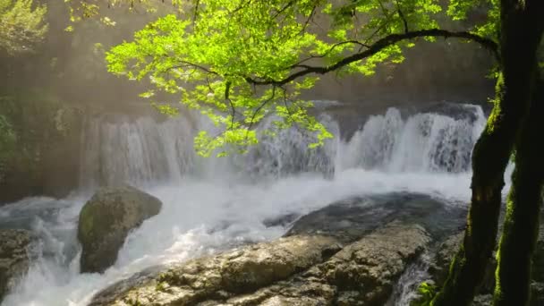 Pemandangan alam yang indah dengan air terjun kaskade dan pohon hijau di backlight — Stok Video