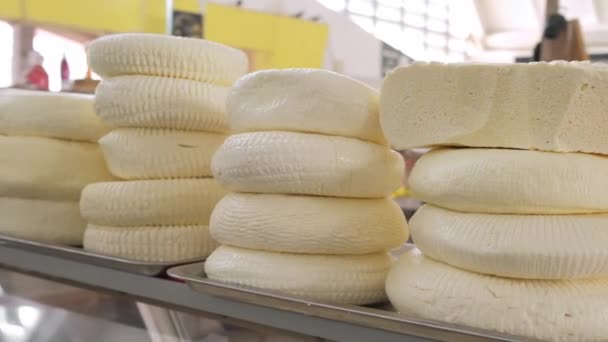 Fechar as pilhas de queijo tradicional caseiro redondo no mercado na Geórgia — Vídeo de Stock