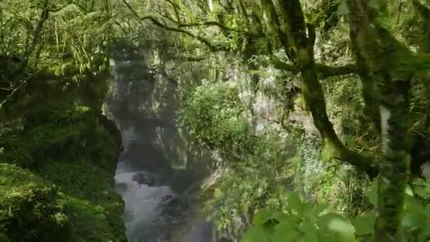 Hermosa escena de la naturaleza con el cañón Martvili en Georgia — Vídeos de Stock