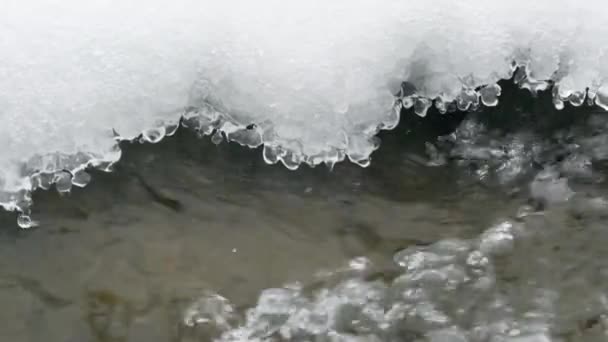 Topniejący lód na zimnej rzece wczesną wiosną. — Wideo stockowe