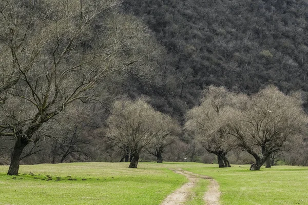 Estrada de terra através da paisagem com prados e árvores no início da primavera — Fotografia de Stock