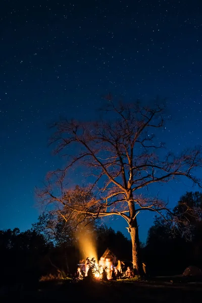 Hoguera bajo el gran árbol y cielo nocturno lleno de estrellas —  Fotos de Stock