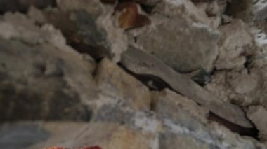 Sumela Manastırı 'nda İsa Mesih' in Eski Hristiyan freskleri, Türkiye.