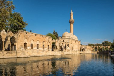 Sanliurfa 'daki Rizvaniye Camii ve Balikligol balık gölü.