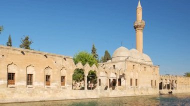 Sanliurfa 'daki Rizvaniye Camii ve Balikligol balık gölü.