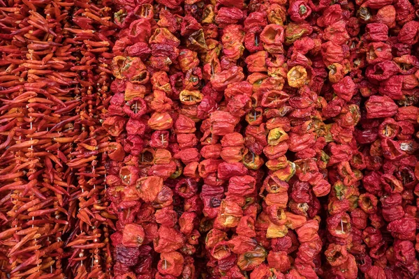 Pimientos secos que cuelgan en el mercado tradicional de alimentos turcos de cerca — Foto de Stock