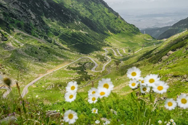 Landscape of the Transfagarasan road in summer, Romania — Stock Photo, Image