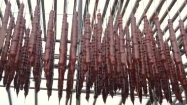 Geleneksel Gürcistan tatlı güneşi Georgia 'daki Churchkhela fabrikasında kuruyor.