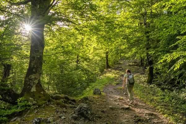 Caminhada popular de Theth para Valbona aldeias na Albânia — Fotografia de Stock