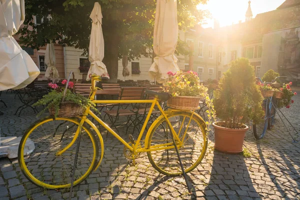 Street scene from the medieval city Sighisoara in Transilvania region of Romania. Cozy outdoor cafe at sunrise. Bicycle with flowers as a cafe decoration.