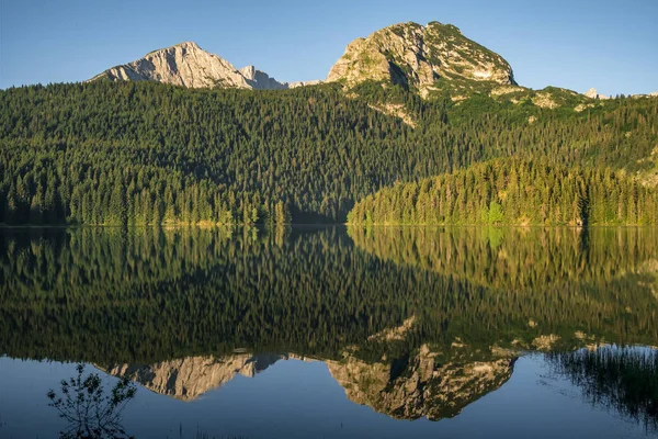 Svart Sjölandskap Vid Soluppgången Durmitor National Park Zabljak Montenegro Skog — Stockfoto