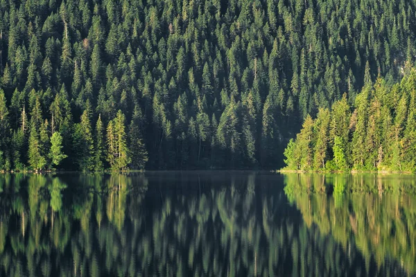 黑山Zabljak的Durmitor国家公园日出时的黑色湖景 森林和高山在清澈的湖面上反射出晨光 — 图库照片