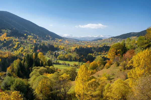 Herbstlandschaft Savsat Bezirk Von Artvin Türkei Herbstzeit Der Osttürkei Schönes — Stockfoto