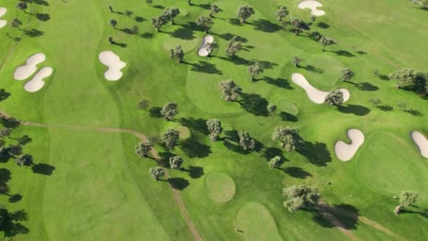 Luftaufnahme Von Grünem Gras Und Bäumen Auf Einem Golfplatz Vogelperspektive — Stockvideo