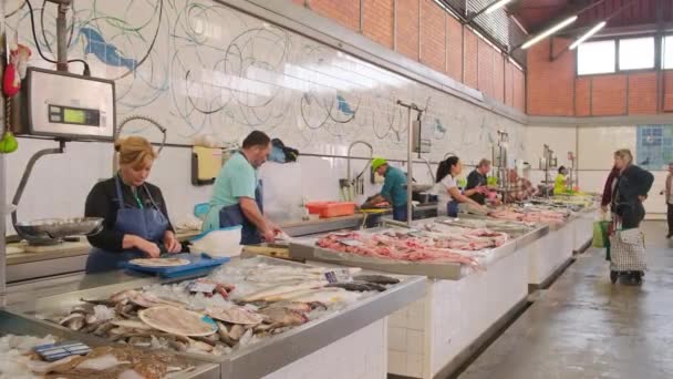 Olhao Portugal April 2022 Fish Seafood Section Olhao Municipal Market — Vídeo de Stock