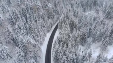 Aerial view of a car driving along the mountain road in winter. Beautiful snowy white winter and snow capped fir-tree forest. Road through frozen forest. Winding mountain road