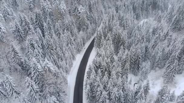 Aerial View Car Driving Mountain Road Winter Beautiful Snowy White — Video Stock