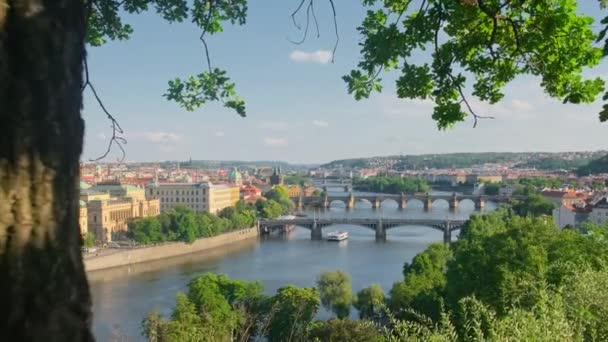 Prague Cityscape Summer Prague Old Town Charles Bridge Vltava River — Video Stock