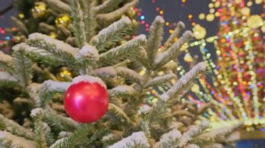 Traditional xmas red ball on fir tree branch close-up with Christmas tree gold festive confetti and illumination on snowy winter evening in Europe. Christmas tree with colorful outdoor decorations. 
