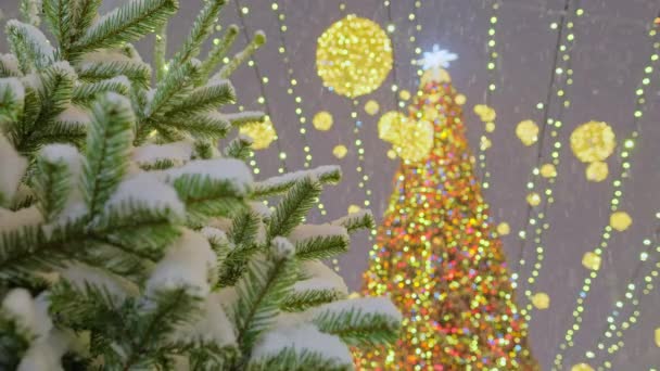 Fir Tree Branches Close Defocused Christmas Tree Golden Festive Decoration — Wideo stockowe