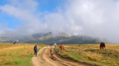 Mestia, Georgia - September 9, 2021: Tourist makes photos of the wild horses grazing in Caucasus mountains in Georgia at misty morning. Hiking trail to Ushba mountain in Mestia, Svaneti, Georgia. 