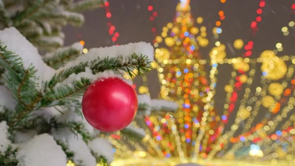 Traditional Xmas Red Ball Fir Tree Branch Close Christmas Tree — Stockvideo