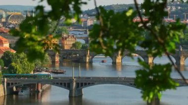 Yazın Prag şehir manzarası. Prag eski kasabası, Charles Bridge ve Vltava nehri, Çek Cumhuriyeti. Çek başkentinin güneşli bir gününde Vltava nehri üzerindeki Prag eski köprülerinin ağaç yapraklarının arasından bak.. 