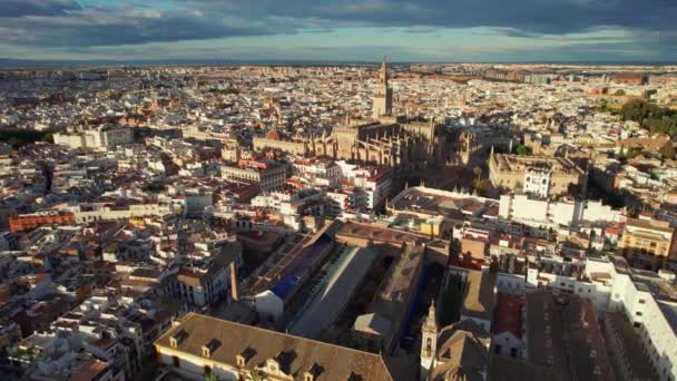 Vista Aérea Famosa Catedral Gótica Sevilla Atardecer Andalucía España Vista — Vídeos de Stock