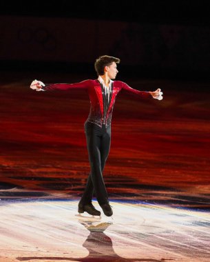 Artistik Patinaj sergi gala